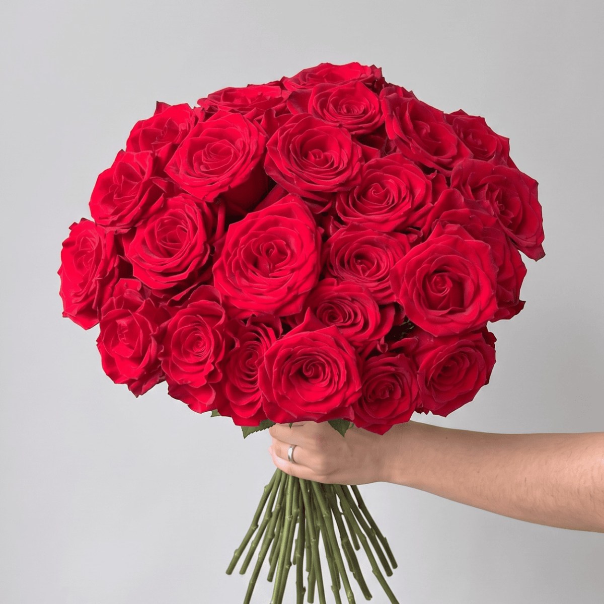 25 krasnyh roz 443